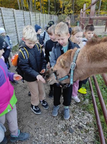 Wycieczka do farmy dyń Dobronianka